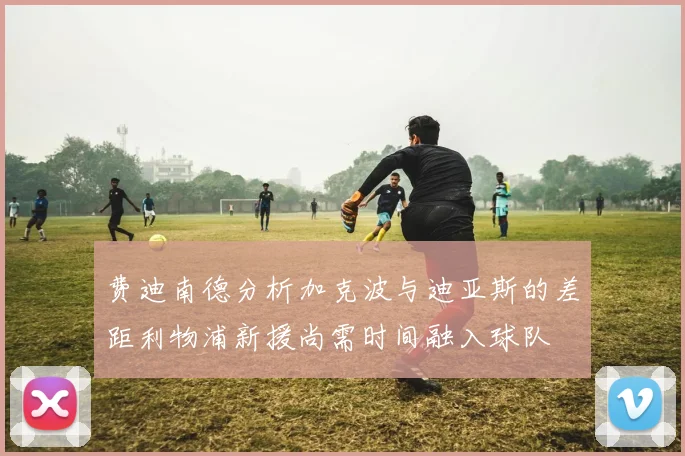 费迪南德分析加克波与迪亚斯的差距利物浦新援尚需时间融入球队