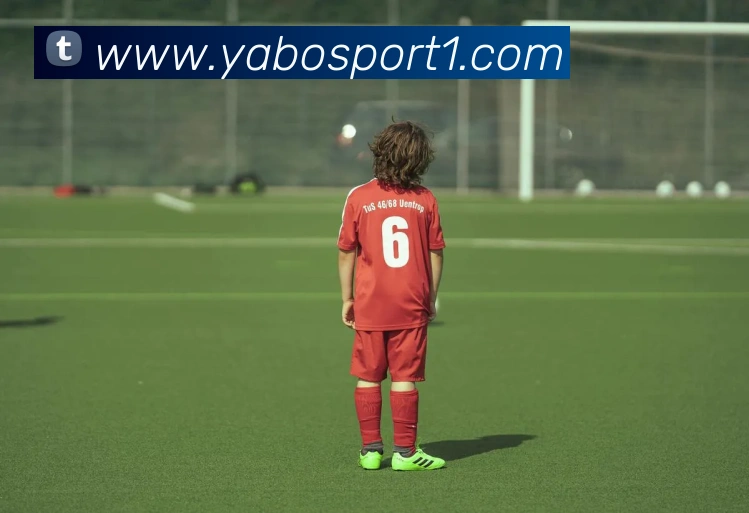 App Interface Preview