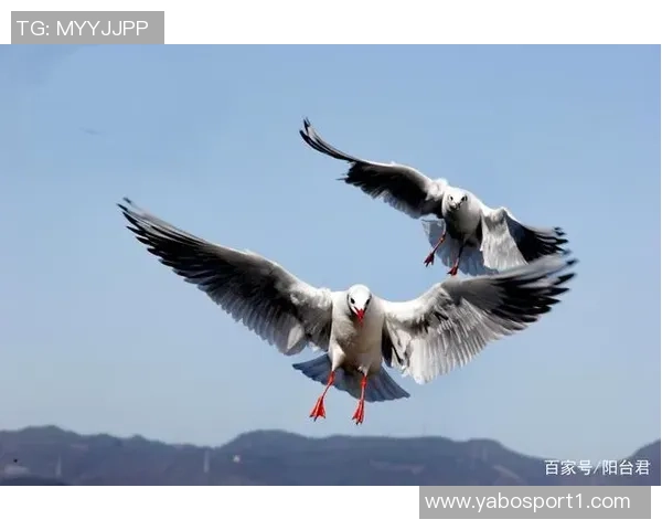 图拉姆梦想与弟弟携手成长成才共同追求真正的男人之路